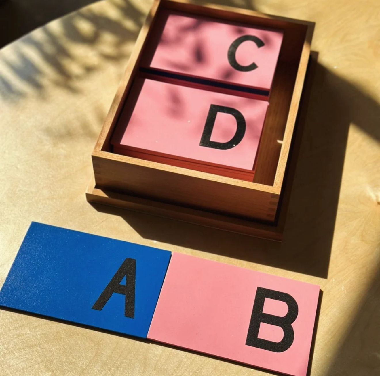 Language Development
